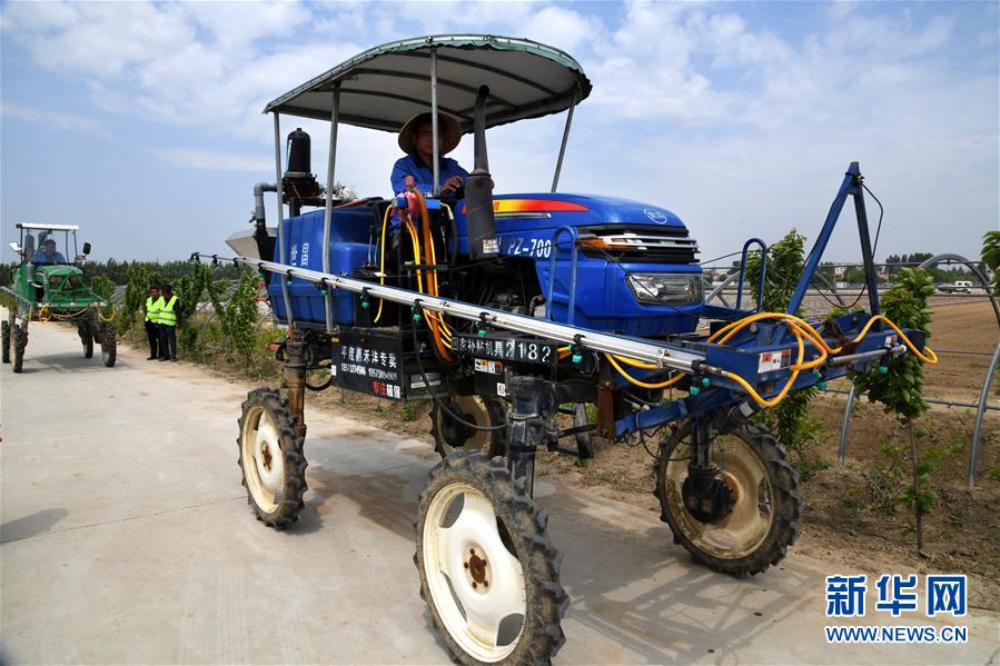 （在习近平新时代中国特色社会主义思想指引下——新时代新作为新篇章·习近平总书记关切事·图文互动）（8）新农事、新希望——夏收前田间新动态扫描