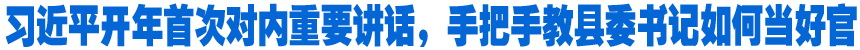 習(xí)近平開年首次對內(nèi)重要講話，手把手教縣委書記如何當(dāng)好官