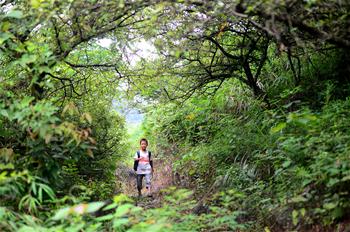 大山深深，挡不住小小读书郎的求学梦