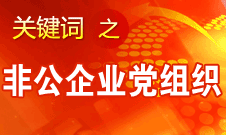 王京清：非公企业建立党组织服务企业发展、服务员工