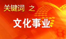 孙志军：把深化文化体制改革简单理解为市场化是误解