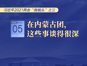 习近平2021两会“微镜头”之三 3月5日 在内蒙古团，这些事谈得很深