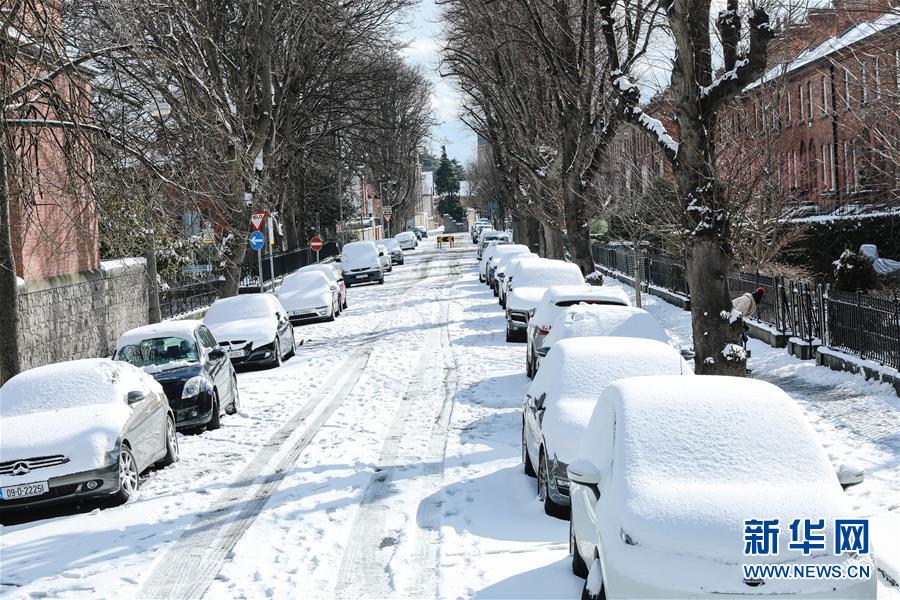 （国际）（4）爱尔兰遭遇36年来最严重暴风雪